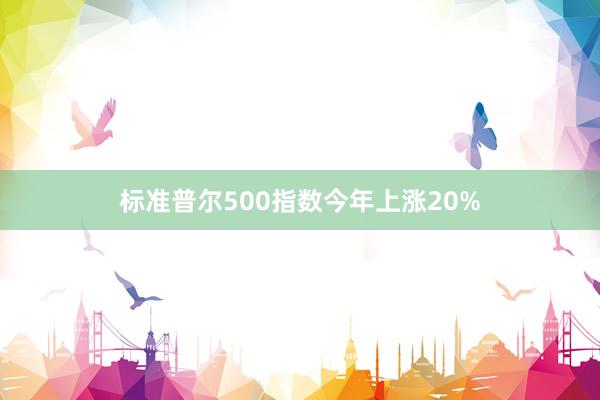 标准普尔500指数今年上涨20%