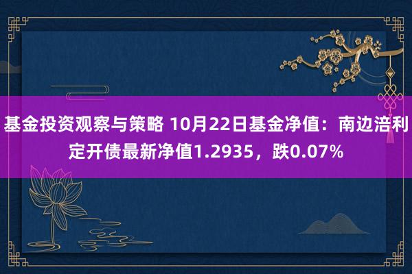 基金投资观察与策略 10月22日基金净值：南边涪利定开债最新净值1.2935，跌0.07%