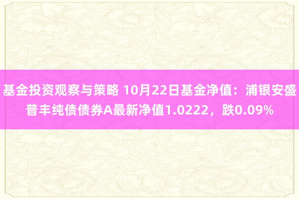 基金投资观察与策略 10月22日基金净值：浦银安盛普丰纯债债券A最新净值1.0222，跌0.09%