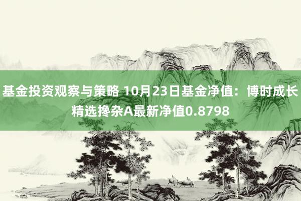 基金投资观察与策略 10月23日基金净值：博时成长精选搀杂A最新净值0.8798