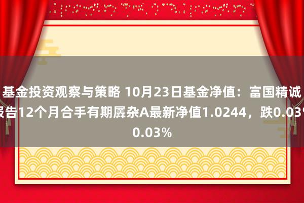 基金投资观察与策略 10月23日基金净值：富国精诚报告12个月合手有期羼杂A最新净值1.0244，跌0.03%