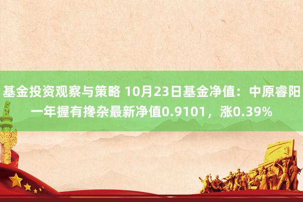 基金投资观察与策略 10月23日基金净值：中原睿阳一年握有搀杂最新净值0.9101，涨0.39%