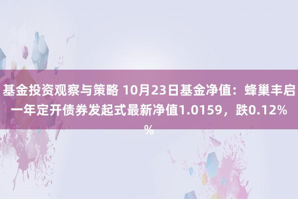 基金投资观察与策略 10月23日基金净值：蜂巢丰启一年定开债券发起式最新净值1.0159，跌0.12%