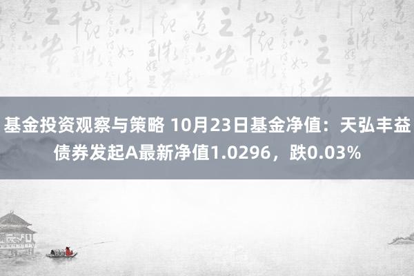 基金投资观察与策略 10月23日基金净值：天弘丰益债券发起A最新净值1.0296，跌0.03%