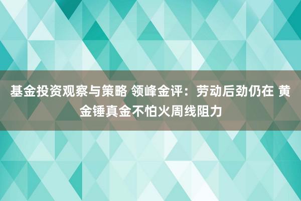 基金投资观察与策略 领峰金评：劳动后劲仍在 黄金锤真金不怕火周线阻力