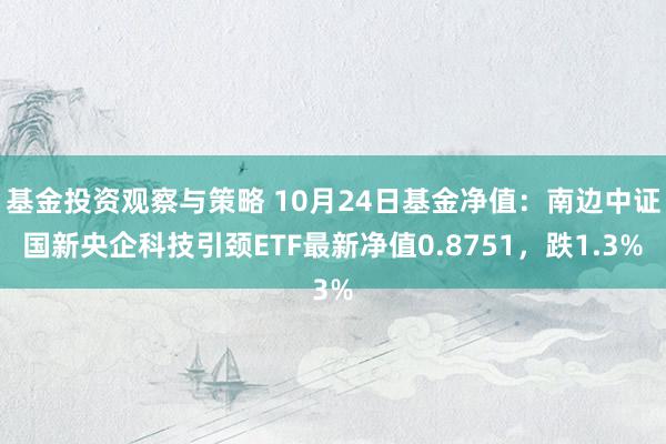 基金投资观察与策略 10月24日基金净值：南边中证国新央企科技引颈ETF最新净值0.8751，跌1.3%