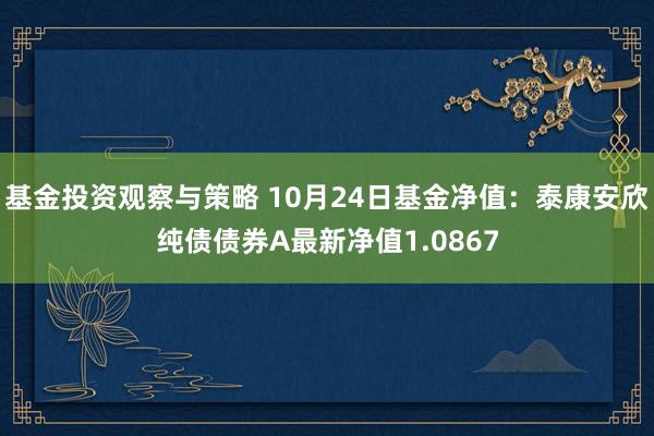 基金投资观察与策略 10月24日基金净值：泰康安欣纯债债券A最新净值1.0867