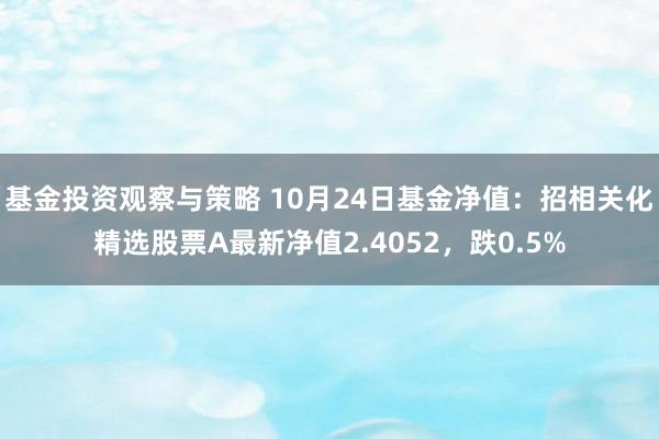 基金投资观察与策略 10月24日基金净值：招相关化精选股票A最新净值2.4052，跌0.5%