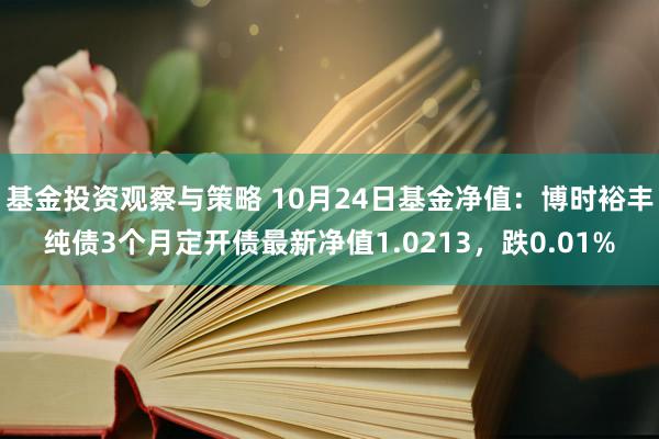 基金投资观察与策略 10月24日基金净值：博时裕丰纯债3个月定开债最新净值1.0213，跌0.01%