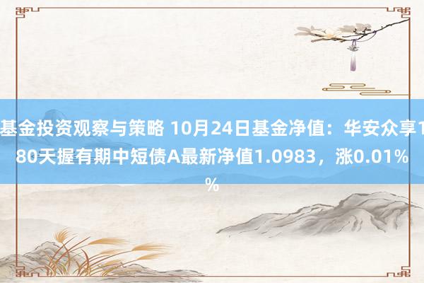 基金投资观察与策略 10月24日基金净值：华安众享180天握有期中短债A最新净值1.0983，涨0.01%