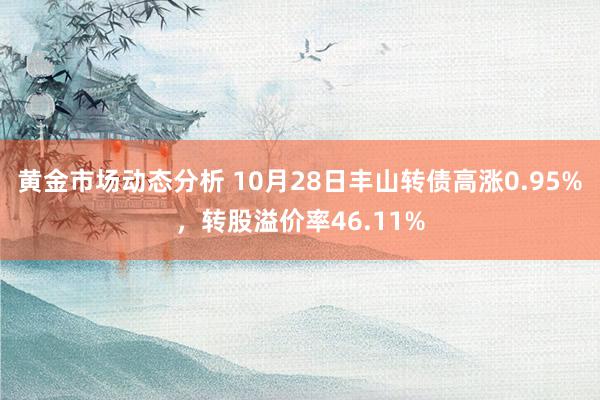 黄金市场动态分析 10月28日丰山转债高涨0.95%，转股溢价率46.11%