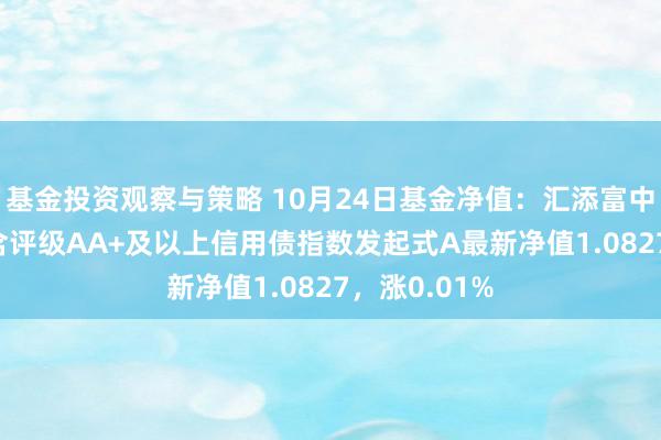 基金投资观察与策略 10月24日基金净值：汇添富中债1-3年隐含评级AA+及以上信用债指数发起式A最新净值1.0827，涨0.01%