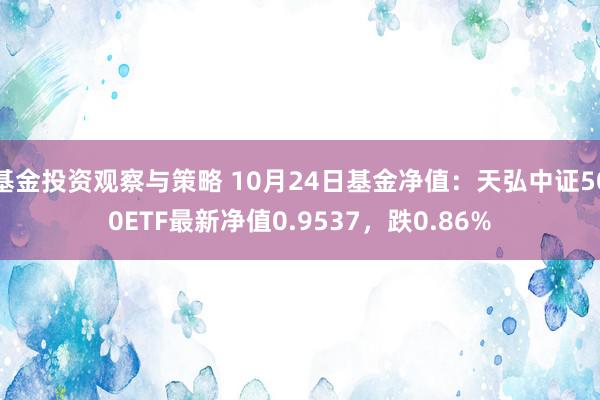 基金投资观察与策略 10月24日基金净值：天弘中证500ETF最新净值0.9537，跌0.86%