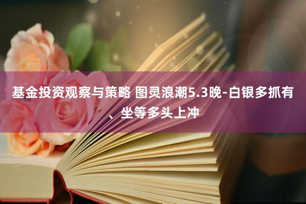 基金投资观察与策略 图灵浪潮5.3晚-白银多抓有、坐等多头上冲