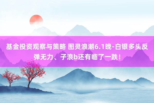 基金投资观察与策略 图灵浪潮6.1晚-白银多头反弹无力、子浪b还有临了一跌！