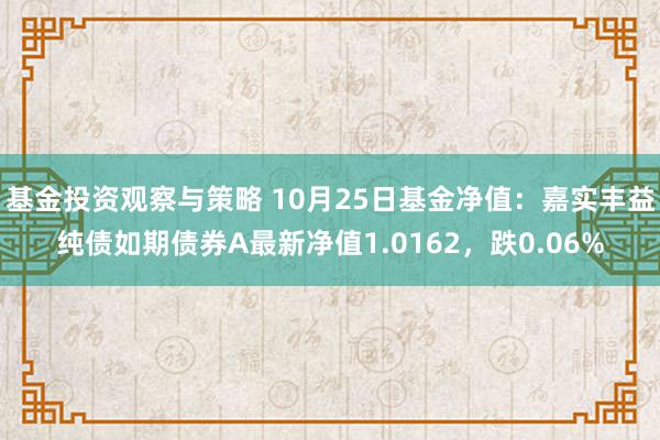 基金投资观察与策略 10月25日基金净值：嘉实丰益纯债如期债券A最新净值1.0162，跌0.06%