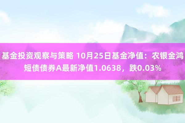 基金投资观察与策略 10月25日基金净值：农银金鸿短债债券A最新净值1.0638，跌0.03%