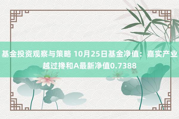 基金投资观察与策略 10月25日基金净值：嘉实产业越过搀和A最新净值0.7388