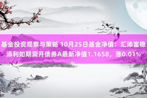 基金投资观察与策略 10月25日基金净值：汇添富稳添利如期洞开债券A最新净值1.1658，涨0.01%