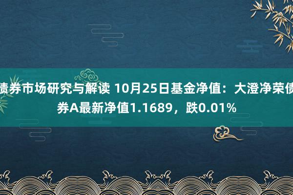 债券市场研究与解读 10月25日基金净值：大澄净荣债券A最新净值1.1689，跌0.01%