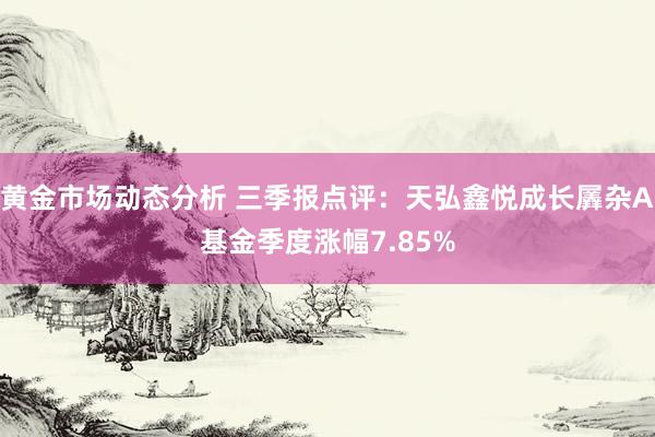 黄金市场动态分析 三季报点评：天弘鑫悦成长羼杂A基金季度涨幅7.85%