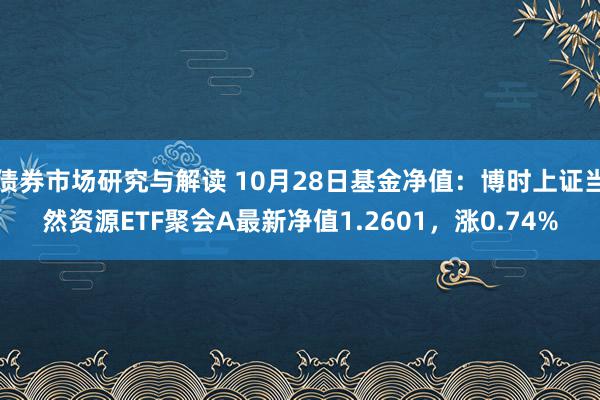 债券市场研究与解读 10月28日基金净值：博时上证当然资源ETF聚会A最新净值1.2601，涨0.74%