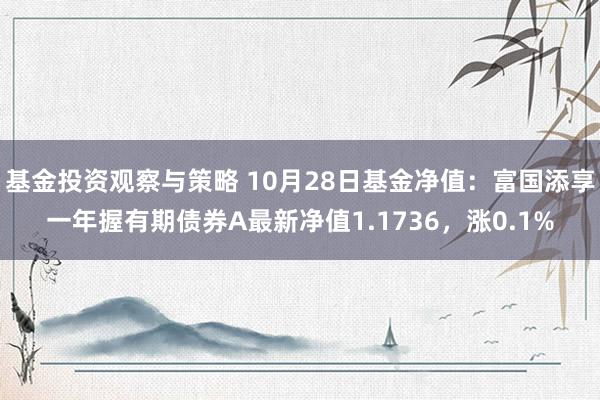 基金投资观察与策略 10月28日基金净值：富国添享一年握有期债券A最新净值1.1736，涨0.1%