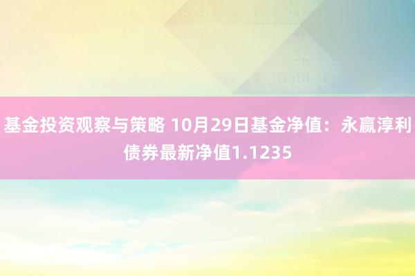 基金投资观察与策略 10月29日基金净值：永赢淳利债券最新净值1.1235