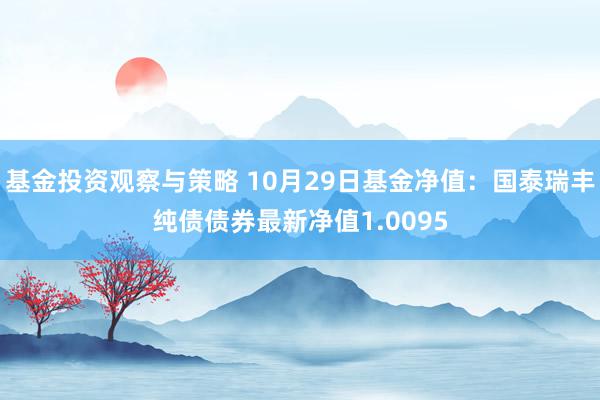 基金投资观察与策略 10月29日基金净值：国泰瑞丰纯债债券最新净值1.0095