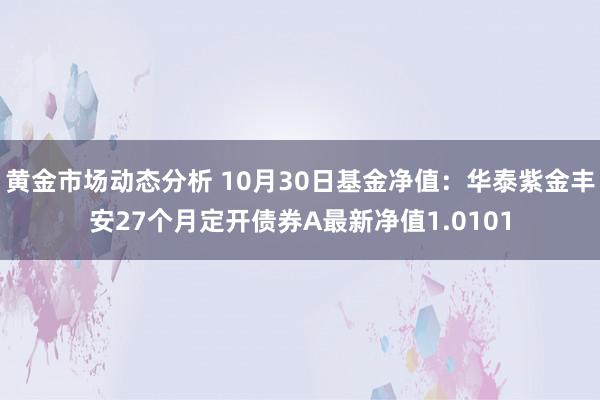 黄金市场动态分析 10月30日基金净值：华泰紫金丰安27个月定开债券A最新净值1.0101