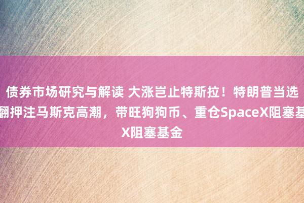 债券市场研究与解读 大涨岂止特斯拉！特朗普当选掀翻押注马斯克高潮，带旺狗狗币、重仓SpaceX阻塞基金