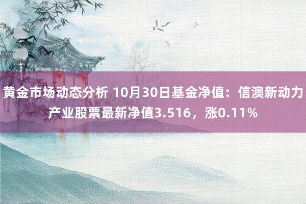 黄金市场动态分析 10月30日基金净值：信澳新动力产业股票最新净值3.516，涨0.11%