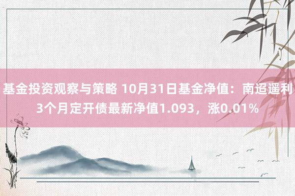 基金投资观察与策略 10月31日基金净值：南迢遥利3个月定开债最新净值1.093，涨0.01%