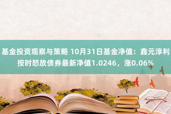 基金投资观察与策略 10月31日基金净值：鑫元淳利按时怒放债券最新净值1.0246，涨0.06%