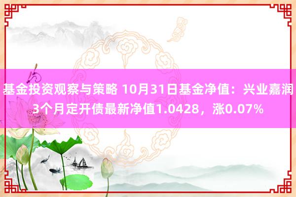 基金投资观察与策略 10月31日基金净值：兴业嘉润3个月定开债最新净值1.0428，涨0.07%