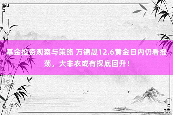 基金投资观察与策略 万锦晟12.6黄金日内仍看摇荡，大非农或有探底回升！