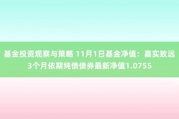 基金投资观察与策略 11月1日基金净值：嘉实致远3个月依期纯债债券最新净值1.0755