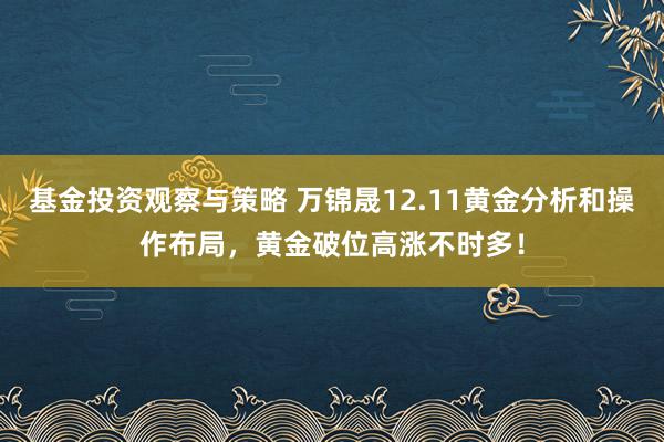 基金投资观察与策略 万锦晟12.11黄金分析和操作布局，黄金破位高涨不时多！