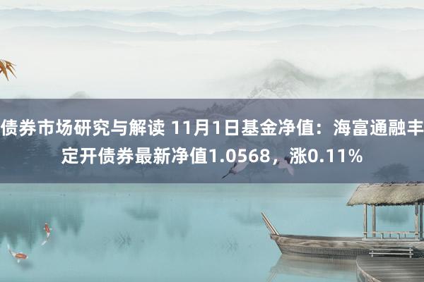 债券市场研究与解读 11月1日基金净值：海富通融丰定开债券最新净值1.0568，涨0.11%