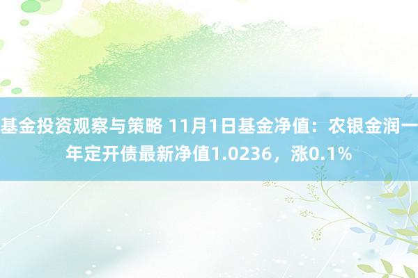 基金投资观察与策略 11月1日基金净值：农银金润一年定开债最新净值1.0236，涨0.1%