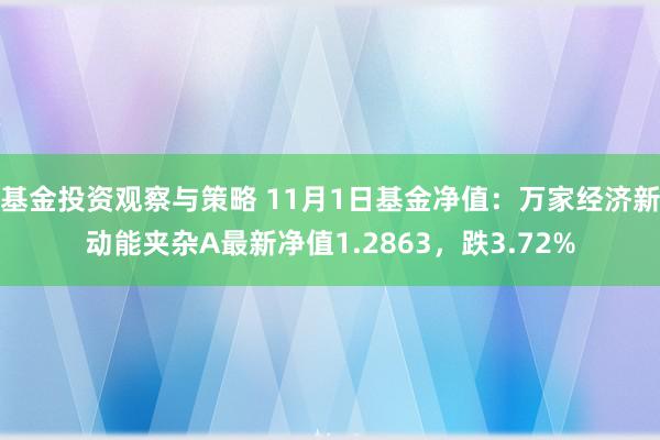 基金投资观察与策略 11月1日基金净值：万家经济新动能夹杂A最新净值1.2863，跌3.72%