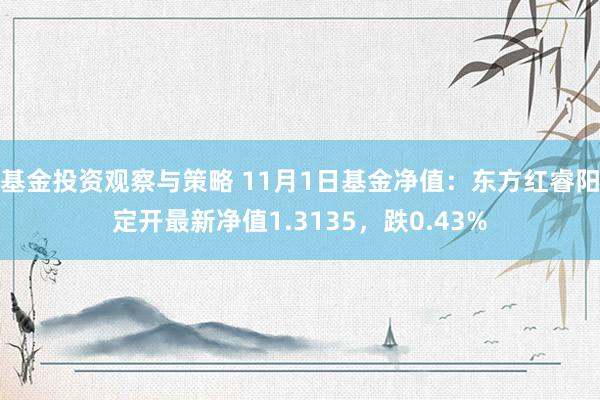 基金投资观察与策略 11月1日基金净值：东方红睿阳定开最新净值1.3135，跌0.43%