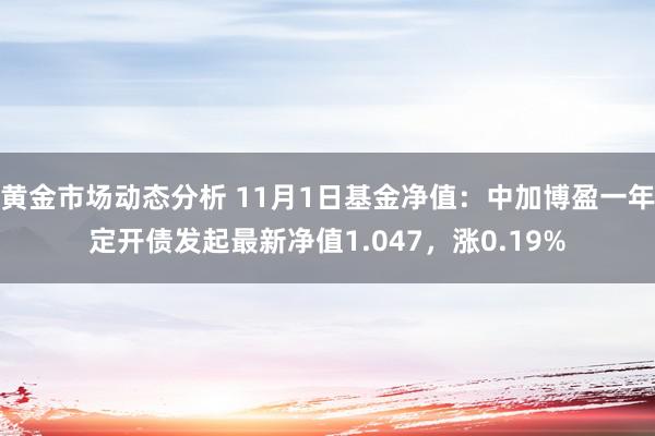 黄金市场动态分析 11月1日基金净值：中加博盈一年定开债发起最新净值1.047，涨0.19%