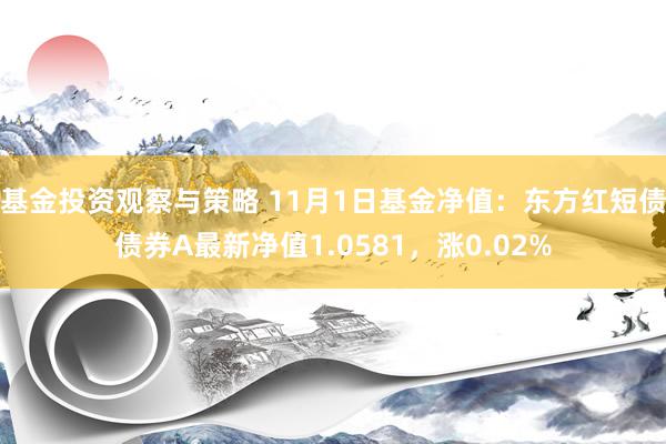 基金投资观察与策略 11月1日基金净值：东方红短债债券A最新净值1.0581，涨0.02%