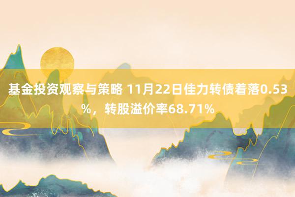 基金投资观察与策略 11月22日佳力转债着落0.53%，转股溢价率68.71%