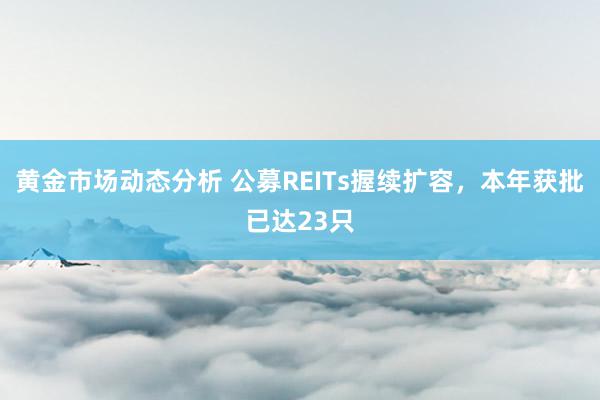 黄金市场动态分析 公募REITs握续扩容，本年获批已达23只