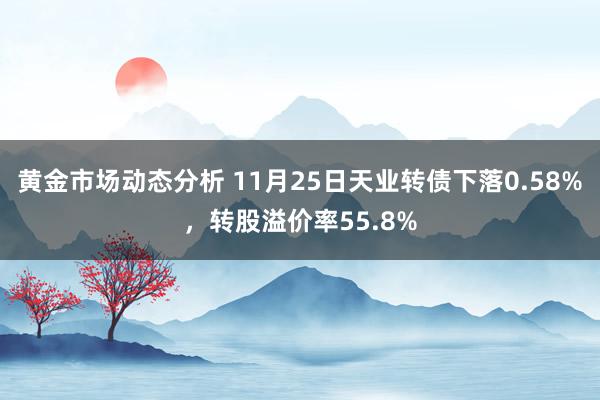 黄金市场动态分析 11月25日天业转债下落0.58%，转股溢价率55.8%