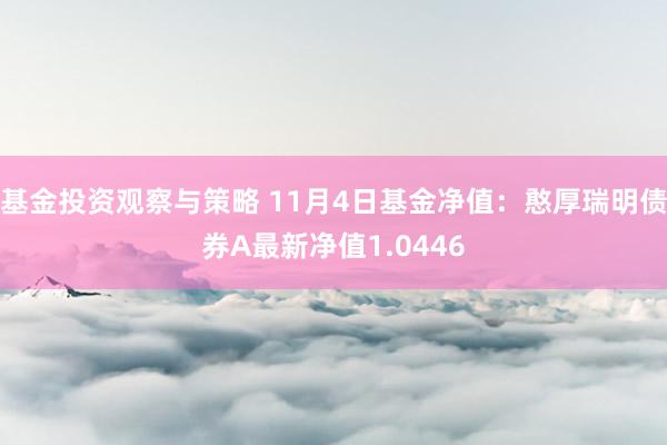 基金投资观察与策略 11月4日基金净值：憨厚瑞明债券A最新净值1.0446