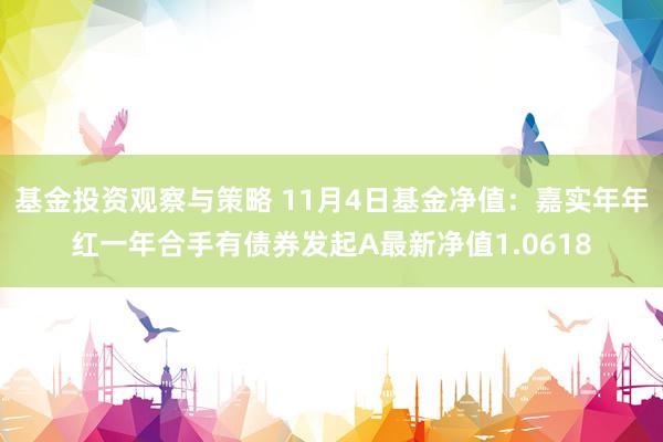 基金投资观察与策略 11月4日基金净值：嘉实年年红一年合手有债券发起A最新净值1.0618