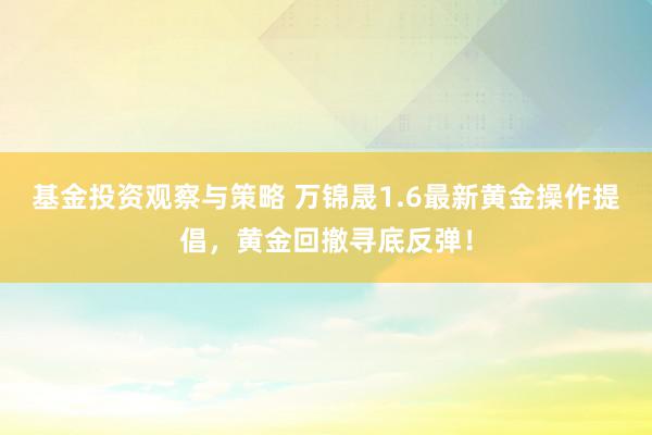 基金投资观察与策略 万锦晟1.6最新黄金操作提倡，黄金回撤寻底反弹！